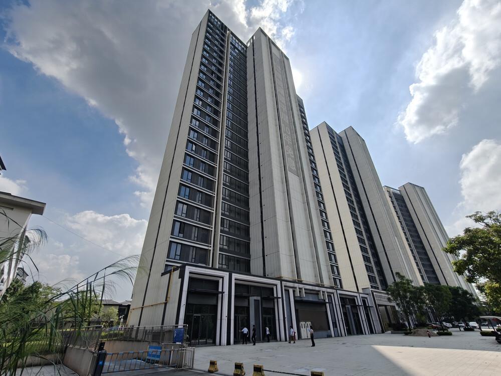 开云入口-东莞市一个小区487套房产打包拍卖,被人底价1.124亿元竞得